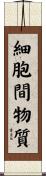 細胞間物質 Scroll