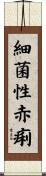 細菌性赤痢 Scroll