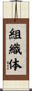 組織体 Scroll