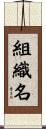 組織名 Scroll