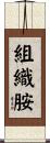 組織胺 Scroll