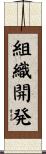 組織開発 Scroll