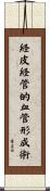 経皮経管的血管形成術 Scroll