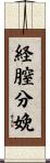 経膣分娩 Scroll