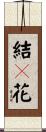 結々花 Scroll