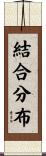 結合分布 Scroll