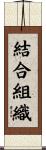結合組織 Scroll
