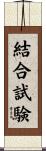 結合試験 Scroll