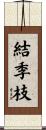 結季枝 Scroll