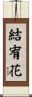 結宥花 Scroll