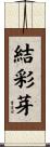 結彩芽 Scroll