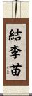 結李苗 Scroll