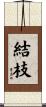 結枝 Scroll