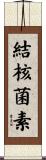 結核菌素 Scroll