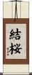 結桜 Scroll