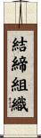 結締組織 Scroll