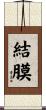 結膜 Scroll
