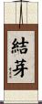結芽 Scroll