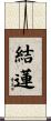 結蓮 Scroll