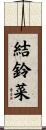 結鈴菜 Scroll