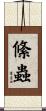 絛蟲 Scroll