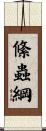 絛蟲綱 Scroll