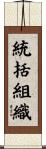 統括組織 Scroll