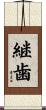 継歯 Scroll