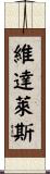 Vidales Scroll