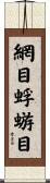 網目蜉蝣目 Scroll