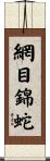 網目錦蛇 Scroll