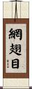 網翅目 Scroll
