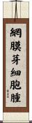 網膜芽細胞腫 Scroll