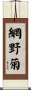 網野菊 Scroll