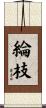 綸枝 Scroll