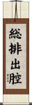 総排出腔 Scroll