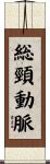 総頸動脈 Scroll
