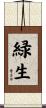 緑生 Scroll