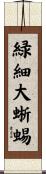 緑細大蜥蜴 Scroll