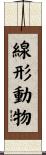 線形動物 Scroll
