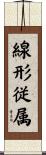 線形従属 Scroll