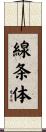 線条体 Scroll