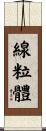線粒體 Scroll