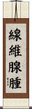線維腺腫 Scroll