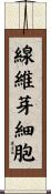 線維芽細胞 Scroll