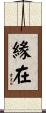 緣在 Scroll
