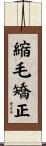 縮毛矯正 Scroll
