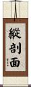 縱剖面 Scroll