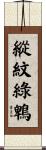 縱紋綠鵯 Scroll