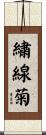 繍線菊 Scroll